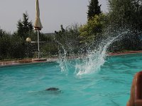 6P9A7265