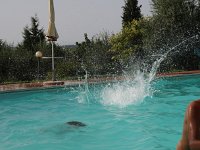 6P9A7266