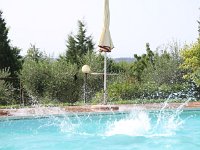 6P9A7323