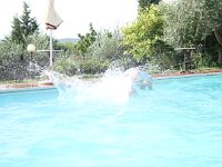 6P9A7895